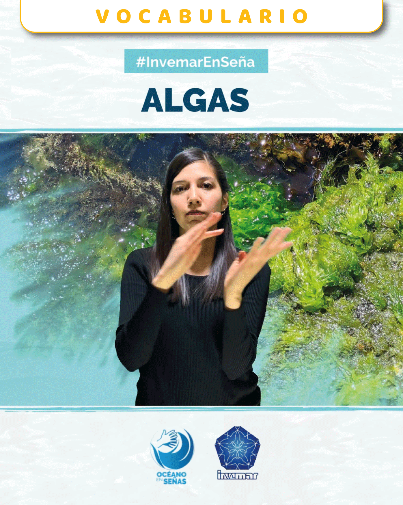 Proyecto Océano en Señas